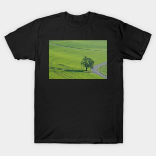 A Field A Road A Tree T-Shirt